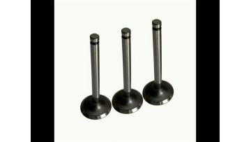 ME200051 Exhaust Valve for Engine Systems