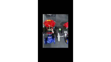 Pneumatic control valve