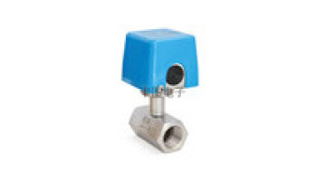 FC340 Baffle Flow Switch Gas Stainless Steel R1 Screw Thread Connection1
