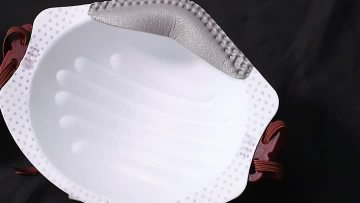 Moulded Dust Masks