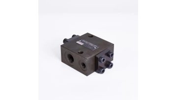 SV10G check valve