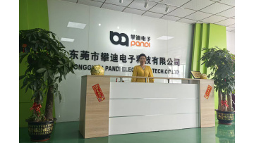 Pandi Company Showcase