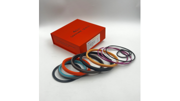 ZAIX200Hydraulic seal repair kit