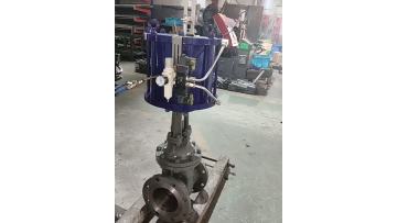 Dual electronic control pneumatic valve