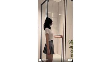 VA-S331 Inner Sliding Door
