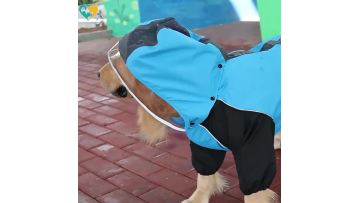 High Quality Dog Raincoat