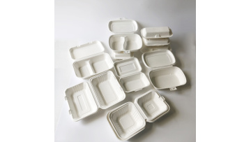 bagasse clamhsell