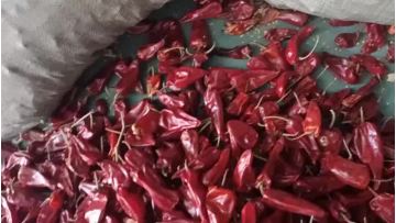 YIDU CHILI