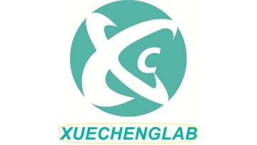 Xuecheng Global Trader Co., Ltd