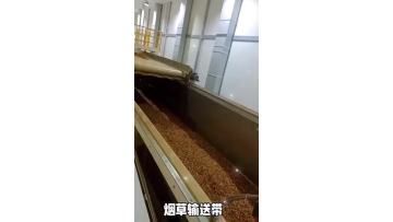 PE conveyor belt for toc