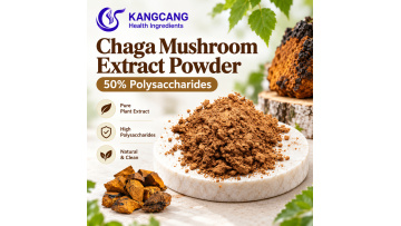 Chaga Mushroom Extract Powder 50% Polysaccharides