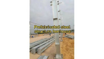 Steel structure henhouse