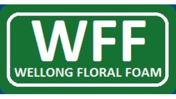 SHANGHAI WELLONG IMPORT AND EXPORT CO., LTD