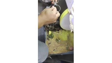 wax polishing