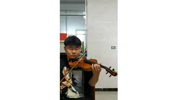 A level violin