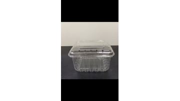 Disposable Plastic Fruit Clamshell Packaging