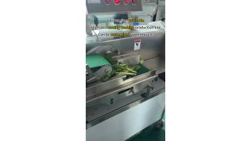 Vegetable cutting washing production line