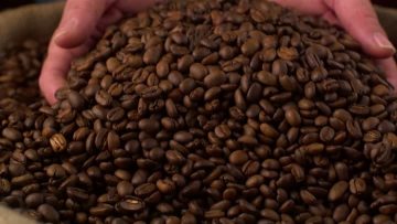 Roasted beans