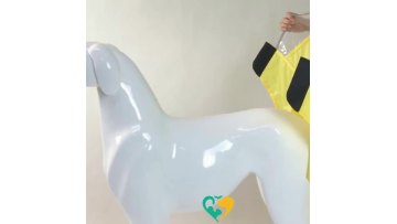 dog raincoat with hood
