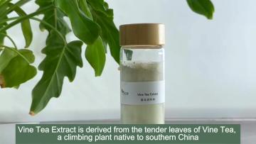 Vine tea Extract