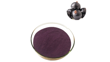 Black currant powder