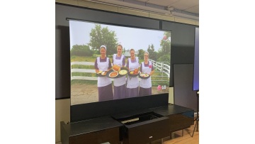 ust alr projector screen