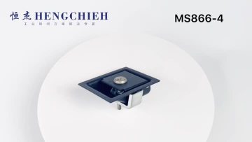 MS866-4