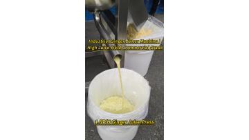 Commercial Fruit Juice Press Machine ST-PS1.5T for  Ginger