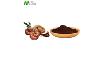 Ganoderma Lucidum 30% Polysaccharide Reishi Mushroom Extract Powder1