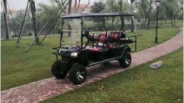 4+2 seats lifted off road tyre with gasoline power