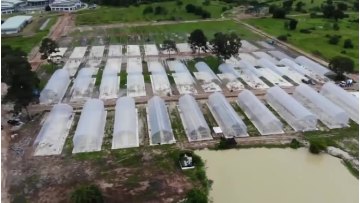 low cost tunnel single-span greenhouses with hydroponic growing system1