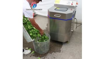 TS-T09 Commercial Centrifugal Vegetable Lettuce Dryer Spinner