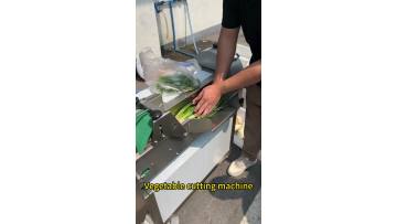 Shengtian machinery Vegetable cutting machine 