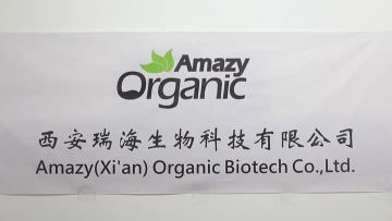 公司视频