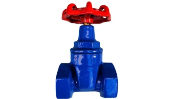 Ductile iron gate valve (2)