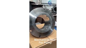 Mechanical seal for pump1