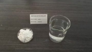 Lactase enzyme