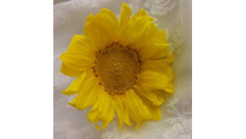 Factory Direct Price Real Sunflowers Preserved Yellow Sunflower1