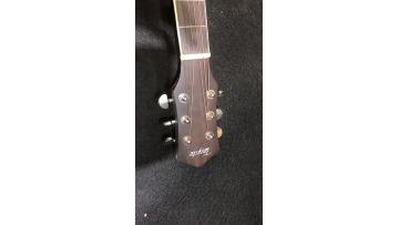 T405-BK acoustic guitar