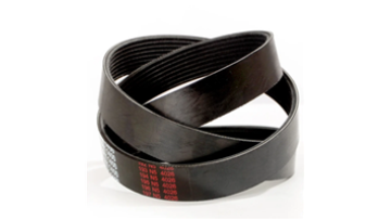 PH Ribbed Belt 1