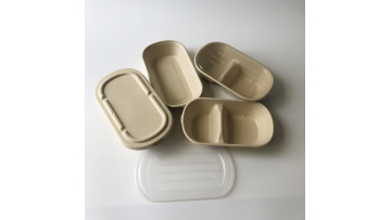 Bagasse pulp container 1 and 2 parts MLC85