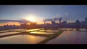 Company video