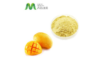 Dehydrated Green Mango Extract Powder Mangiferin 98%1