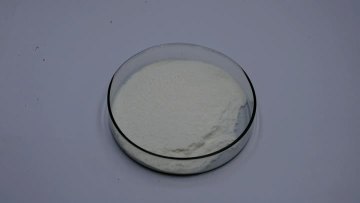 Probiotic powder