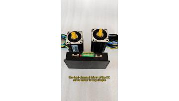 How to connect dual-channel DC servo motor driver