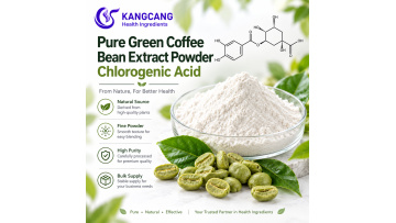 Bulk Chlorogenic Acid Green Coffee Bean Extract Powder