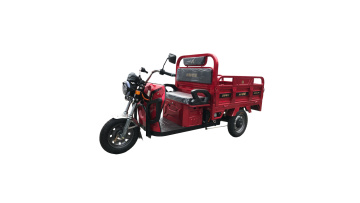 Environmentally friendly electric Tricycle