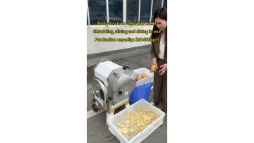Multi-functional vegetable cutter machine potato cutting machine