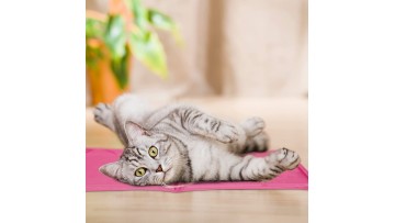 4030 cooling mat