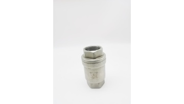 Stainless steel vertical spring check valve